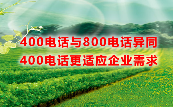 400電話與800電話優(yōu)勢(shì)對(duì)比